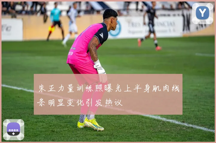 朱正力量训练照曝光上半身肌肉线条明显变化引发热议