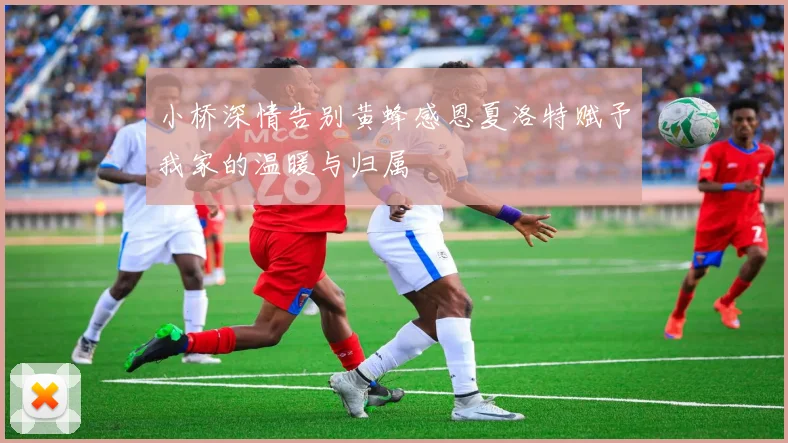 小桥深情告别黄蜂感恩夏洛特赋予我家的温暖与归属